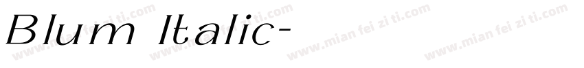 Blum Italic字体转换